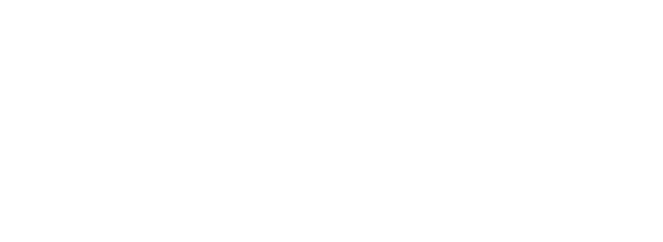 Savi Tours and Travel